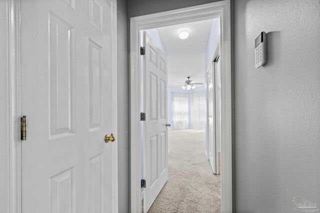 hall with light carpet