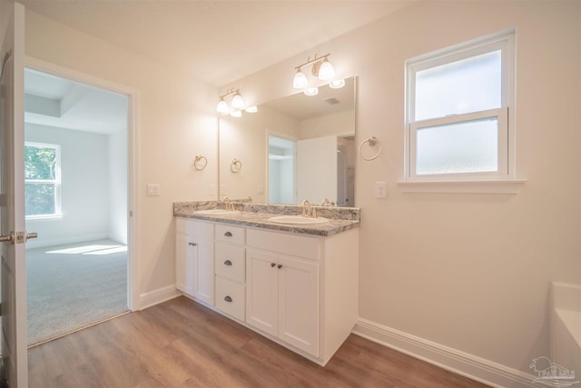 bathroom featuring vanity and hardwood / wood-style flooring