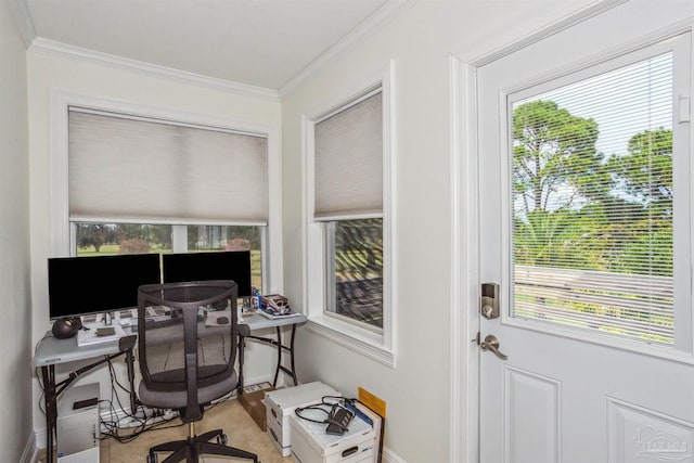 office space featuring crown molding and plenty of natural light