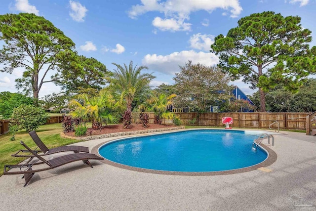 view of swimming pool with a patio