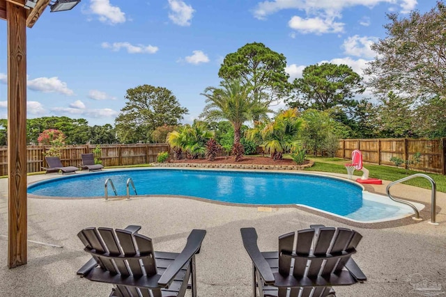 view of pool with a patio