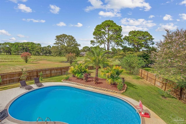 view of swimming pool with a yard