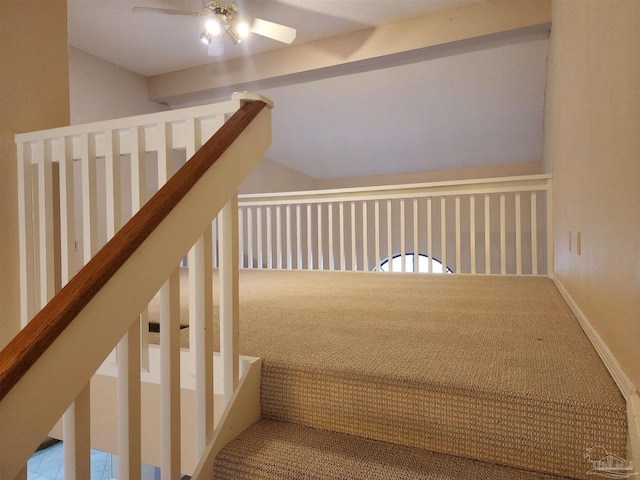 staircase featuring carpet and ceiling fan