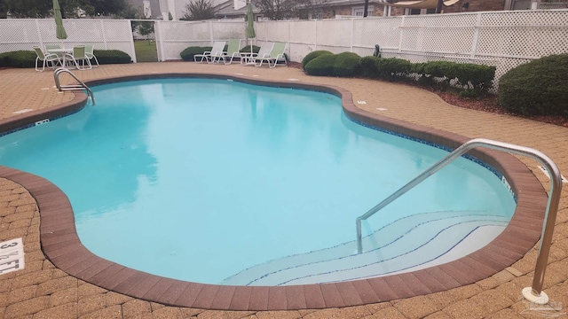 view of swimming pool featuring a patio