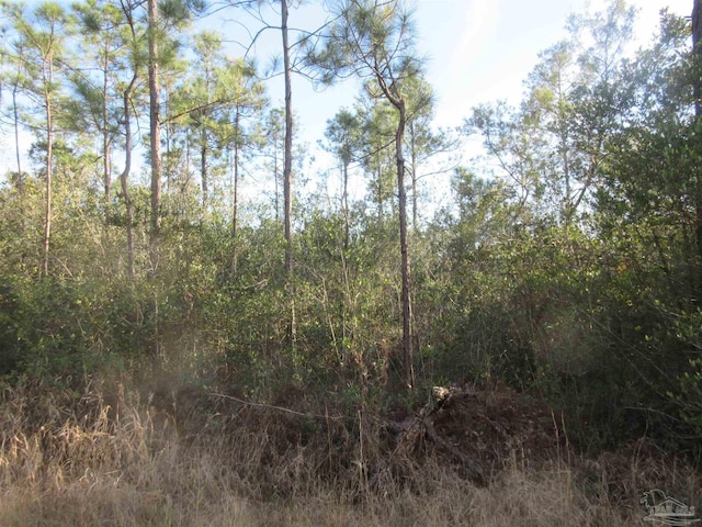 N 29th Ave, Milton FL, 32583 land for sale