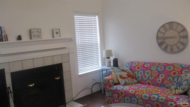 living room featuring plenty of natural light and a fireplace