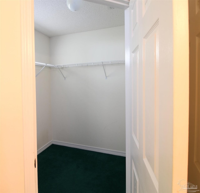 1701 Lighthouse Pointe Dr, Gulf Breeze, FL 32563 - walk in closet with dark carpet