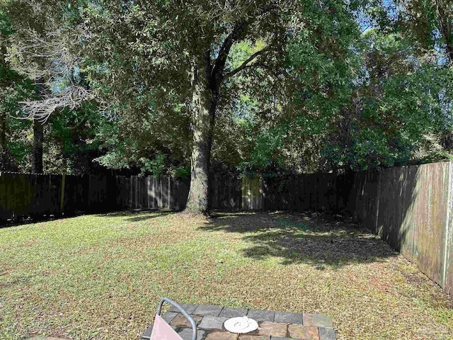 view of yard