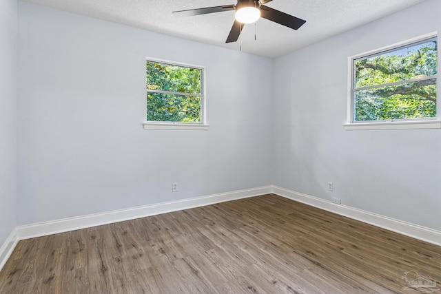 empty room featuring a textured ceiling, a wealth of natural light, and wood-type flooring