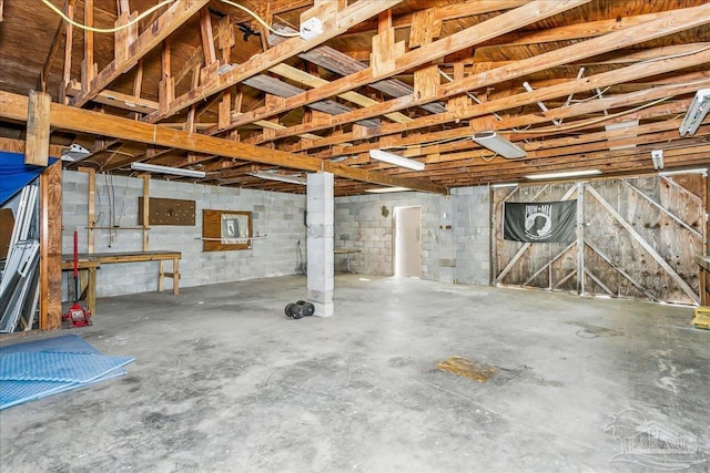 unfinished basement featuring concrete block wall