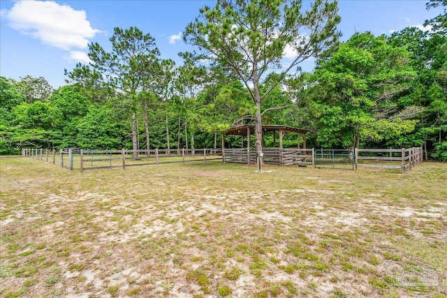 view of yard
