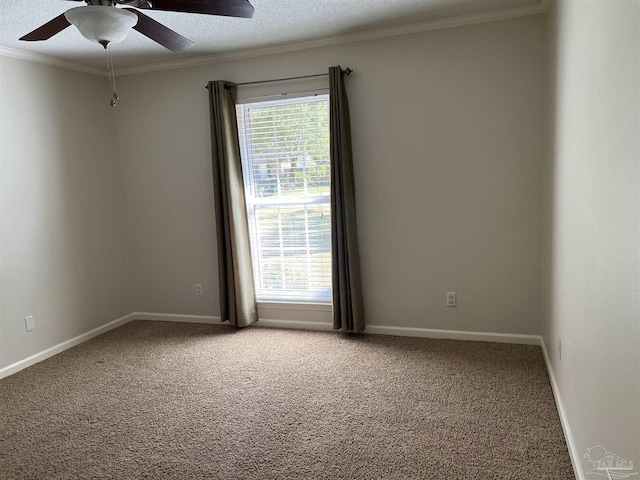 spare room with plenty of natural light, ornamental molding, carpet, and baseboards