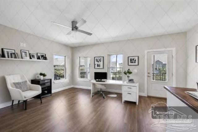 office area featuring ceiling fan and dark hardwood / wood-style flooring