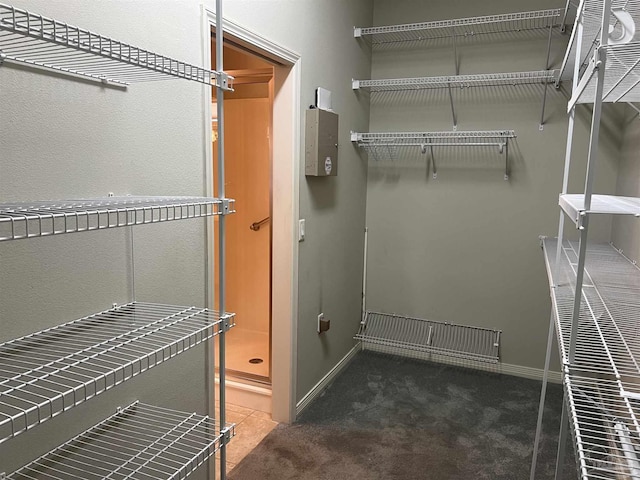 spacious closet featuring carpet floors