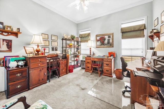 carpeted office with ceiling fan and ornamental molding