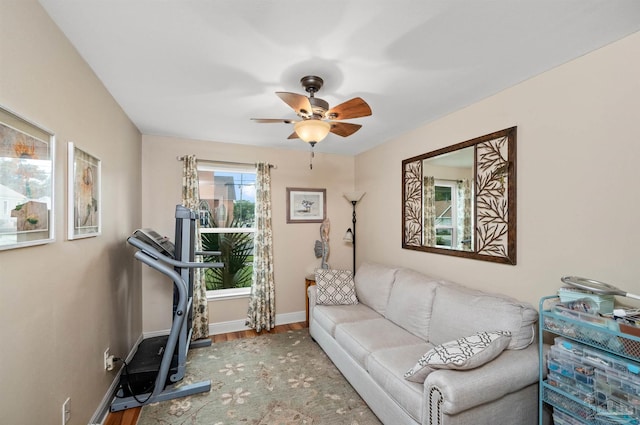 exercise area featuring ceiling fan and hardwood / wood-style flooring