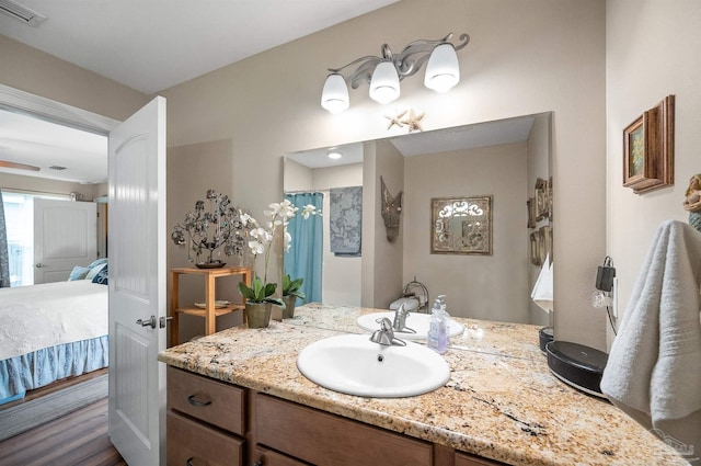 bathroom featuring wood-type flooring and vanity