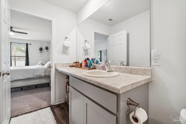 4348 Jitterbug St, Milton, FL 32583 - ensuite bathroom with vanity and wood finished floors