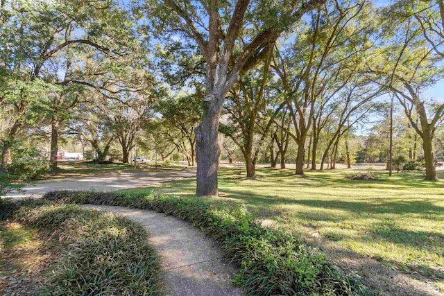 view of community with a lawn