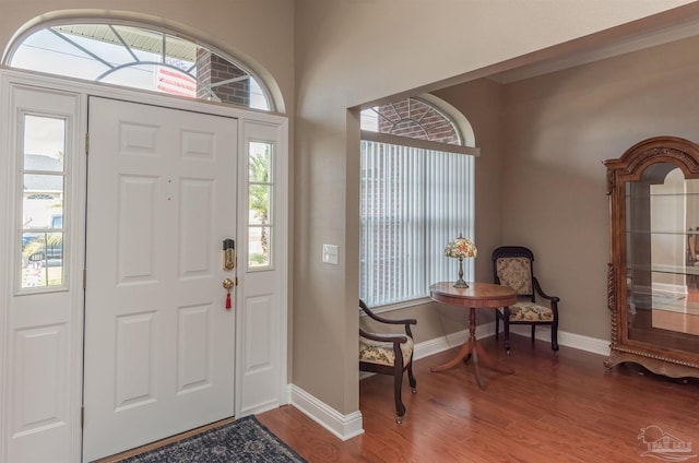 foyer entrance with wood-type flooring