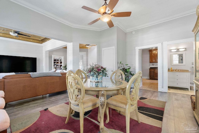 dining space with light wood-type flooring, crown molding, and ceiling fan