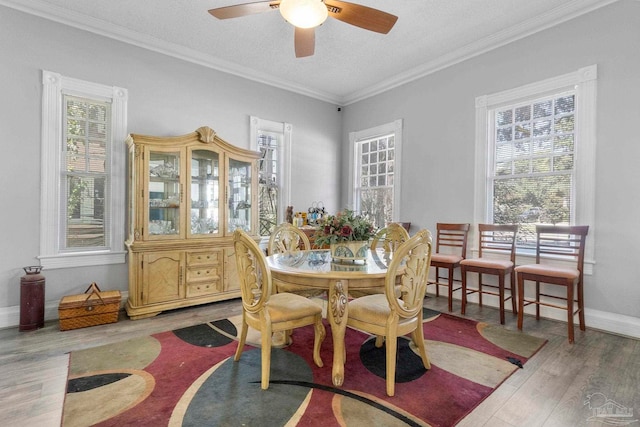 dining area featuring ornamental molding, ceiling fan, hardwood / wood-style flooring, and a textured ceiling