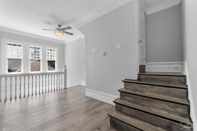 staircase featuring ceiling fan, hardwood / wood-style floors, and crown molding