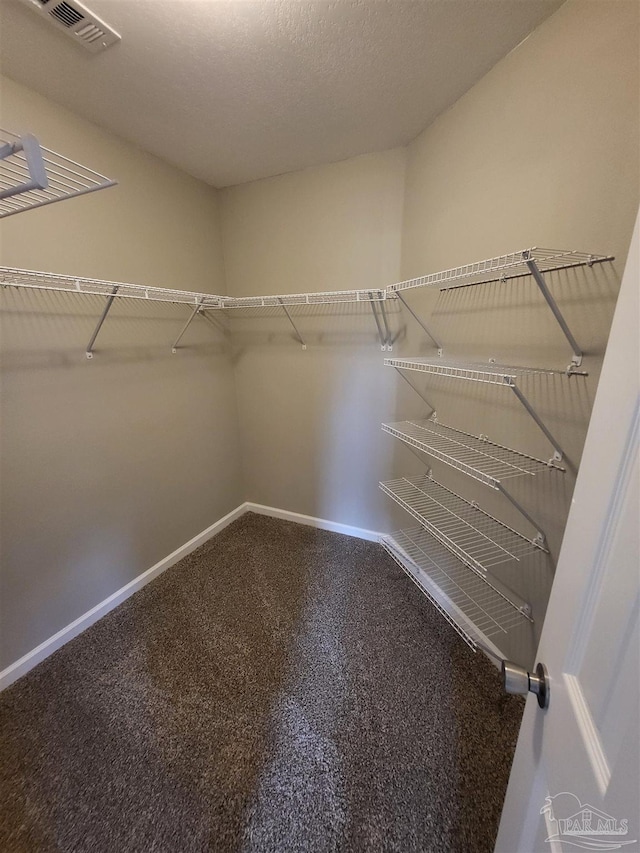 spacious closet with carpet floors