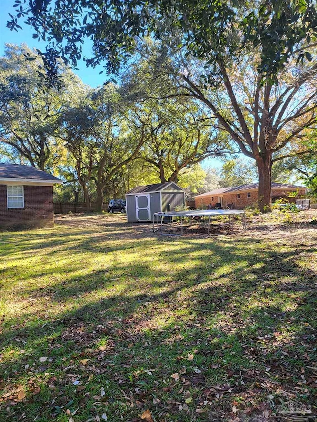 view of yard with a trampoline and a storage unit