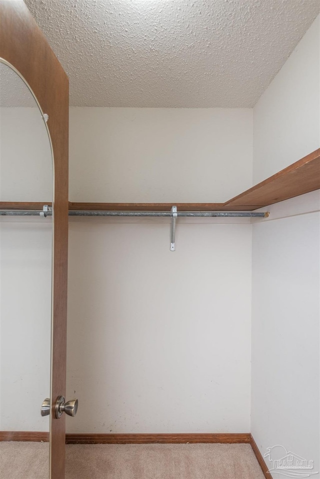 spacious closet with light colored carpet