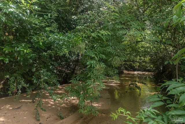 view of landscape featuring a water view