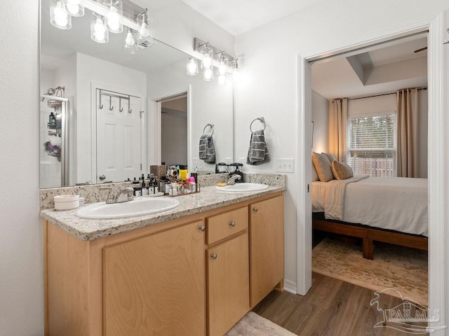 bathroom with hardwood / wood-style flooring and vanity