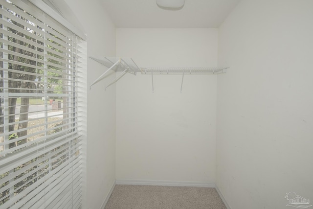view of walk in closet