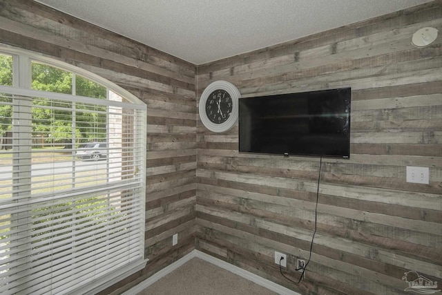room details with wooden walls, carpet floors, and a textured ceiling