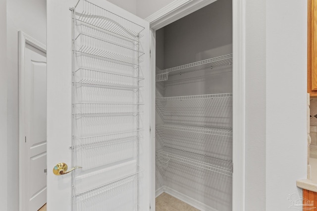 view of closet