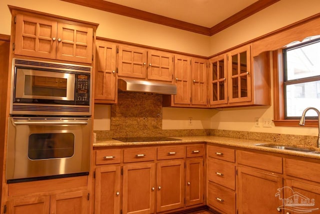 kitchen featuring stainless steel appliances, ornamental molding, light stone countertops, and sink