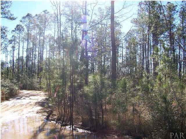 Listing photo 3 for 000 San Raphael Rd, Milton FL 32583