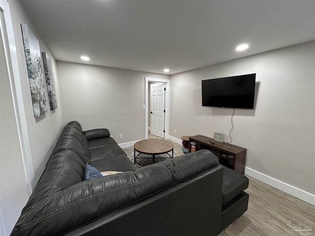 living room with wood-type flooring