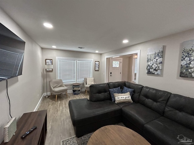 living room with hardwood / wood-style flooring