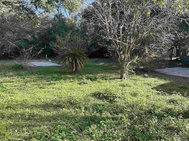 view of yard featuring a patio