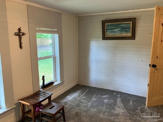 4316 Floridatown Rd, Pace, FL 32571 - empty room with dark carpet, healthy amount of natural light, wooden walls, and baseboards