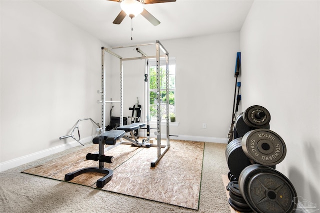 workout room featuring carpet and ceiling fan