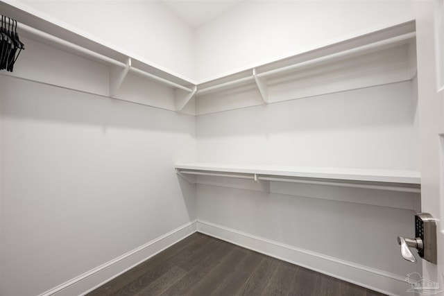 spacious closet featuring dark wood-type flooring