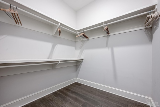 spacious closet featuring dark wood-type flooring