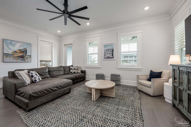 living room featuring ceiling fan, ornamental molding, and hardwood / wood-style flooring