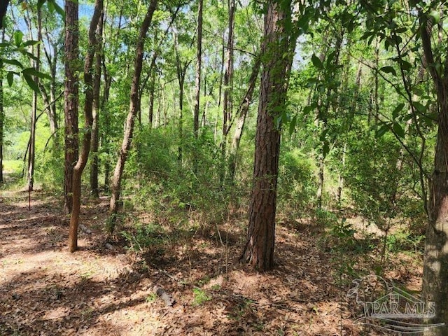 7772 Rustling Pines Dr, Milton FL, 32583 land for sale