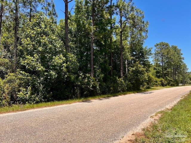 LOT51 Mineral Springs Rd, Jay, FL 32565