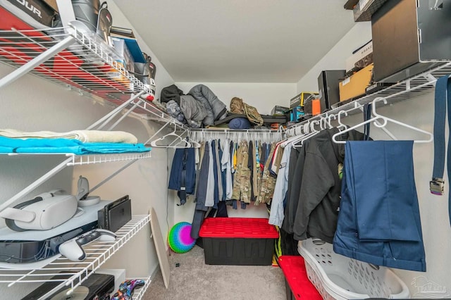 spacious closet with carpet floors