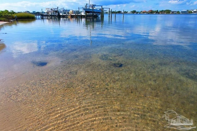 water view with a dock