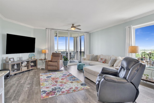 living area with healthy amount of natural light, ceiling fan, wood finished floors, and crown molding